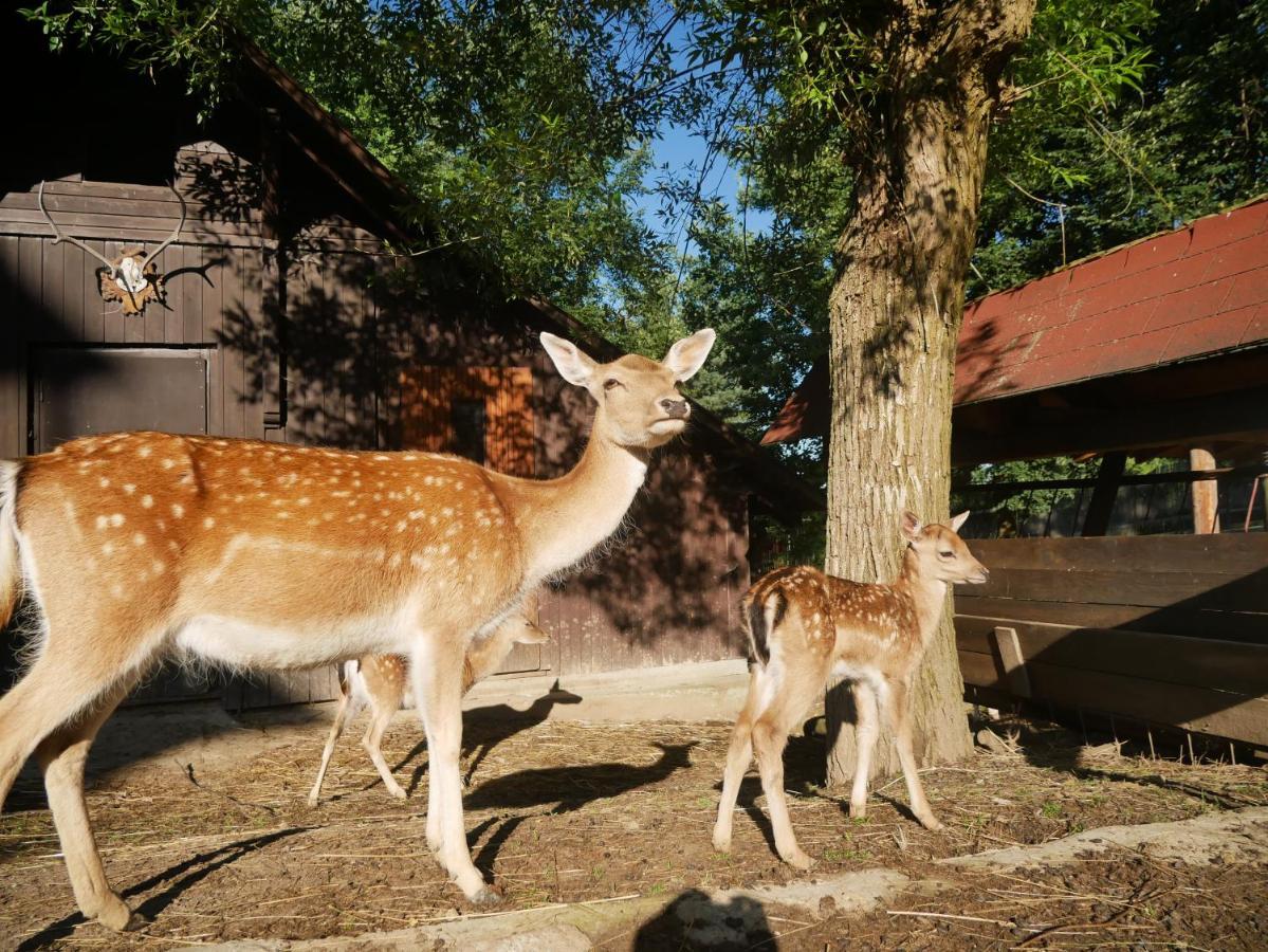 Penzion Obora Prostřední Bečva Exteriör bild
