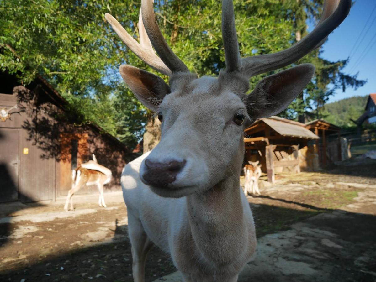 Penzion Obora Prostřední Bečva Exteriör bild