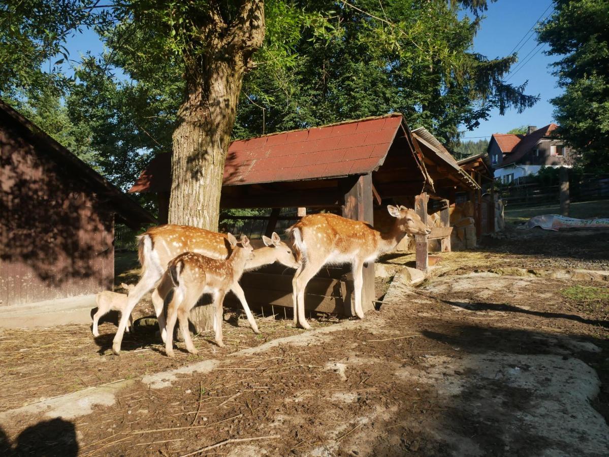 Penzion Obora Prostřední Bečva Exteriör bild